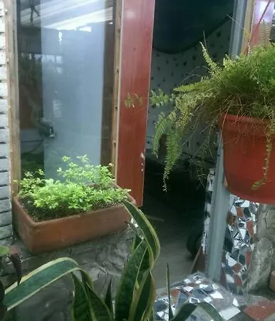 Casa Viva Apartaestudio Terraza Bogota Exterior photo