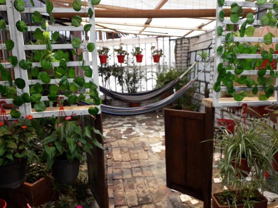 Casa Viva Terraza Apartment Bogota